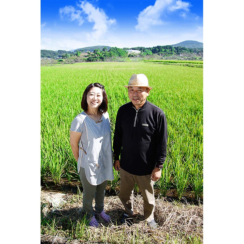 Ronowa Organic Rice Flour, 10.6 oz (300 g)