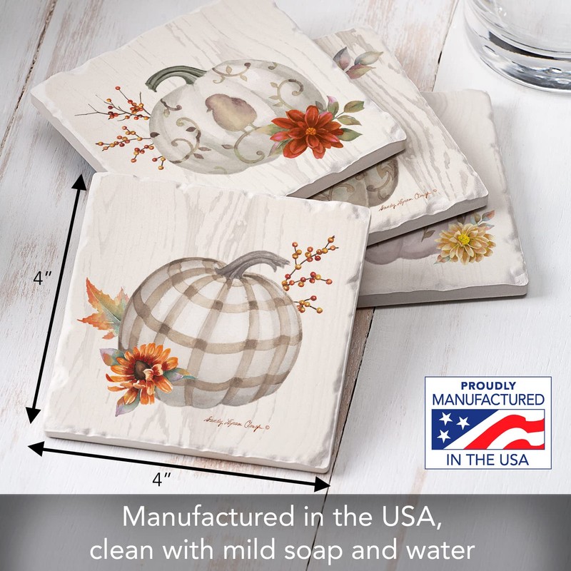 Thirstystone Chinoiserie Fall Pumpkins Assorted Tumbled Tile Stone Coasters with