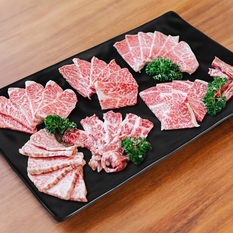 Didaey 16 Pcs Sushi Plate Set for Four, 4 Japanese
