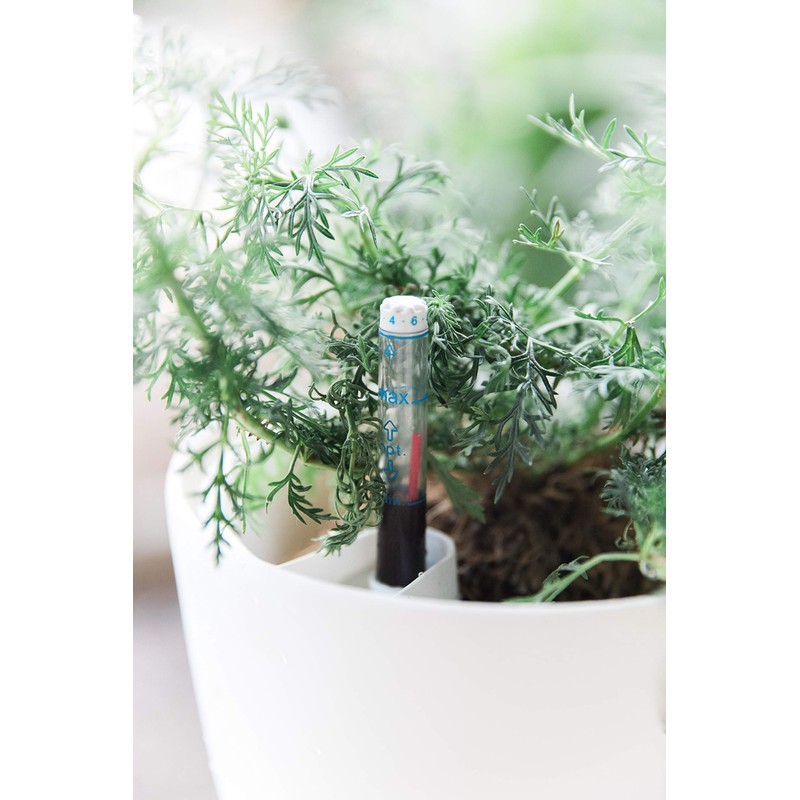 7'' Self Watering planters for Indoor Plants - Flower Pot