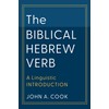 The Biblical Hebrew Verb: A Linguistic Introduction