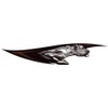 COUGAR Keystone Cougar RV Trailer Decal - 42 x 8.6