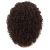 LUXLUXE Precious Curly Curly 17 in Long Lace Front Wig,