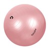 Gymcline Anti-Burst Gym Ball with Pump for Core Strengthening 65cm