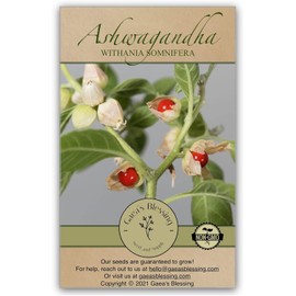 Semillas de Ashwagandha Gaea's Blessing – Relíquia sin OMG, frescas y listas para plantar