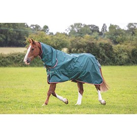 Shires Typhoon 0G Lite Combo Lightweight Horse/Pony Turnout Rug Green 6'9" / 81", Green