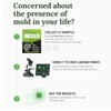Supreme - DIY Mold Test Kit for Home Air Quality