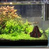 Fish Tank Volcano, Volcano , Reastic Resin Volcano Decorative Fish