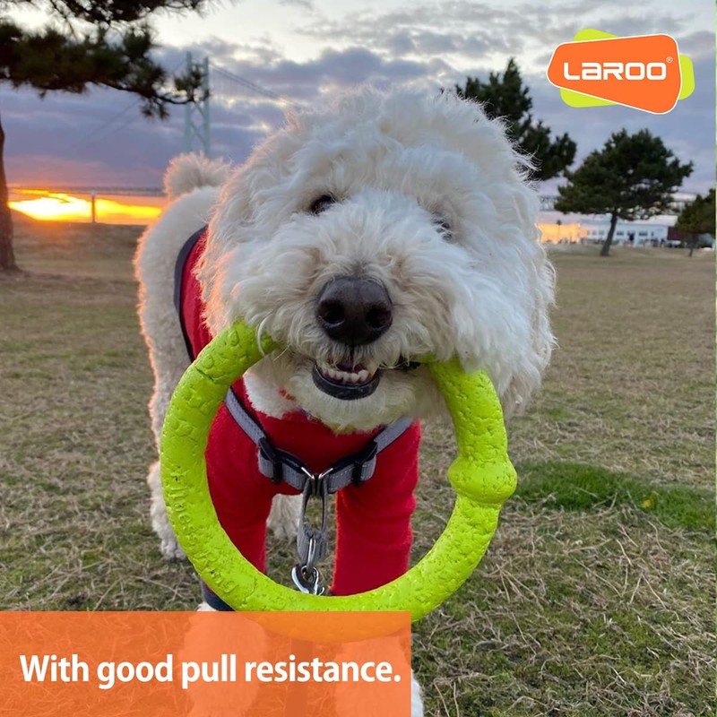 LaRoo Dog Flying Ring Toys, Floating Flying Disc ABS Durable