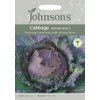 Johnsons 19401 Vegetable Seeds, Cabbage January King 3