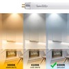 Wesome Lighting 8 Pack 12 Inch F8T5/DL Fluorescent Light Bulb,