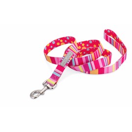 Lucky Love Dog Leash | Soft, Durable, Cute Female Dog Leash for Walking and Training Small to Medium Dogs - Molly, Large