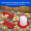 HORTUSGO 2025 Upgrade 6-in-1 Chicken Brooder Box, Brooder Box for