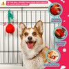 Fossa Interactive Dog Toys, Crate Training Aids for Puppies, Puzzle
