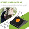House Sparrow Trap, Replacement for Van ERT Universal Sparrow Trap