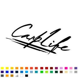 Carp Life Fishing Car Sticker, Fishing Decals for Truck Van Boat Tackle Box, Fishing Stickers for Cars, Funny Fishing Stickers, Vinyl Decals, Fishing Accessories, 200mm