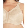 Playtex Womens 18 Hour Original Comfort Strap Bra, Beige, 42D