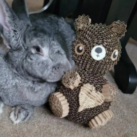 WinniGuineaPoo Rabbit Toys Bunny Gift Vine Heart Teddy Bear Chinchillas Guinea Pigs Toys