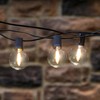 Brightech Ambience PRO Replacement LED Light Bulbs, Plastic 1 Watt