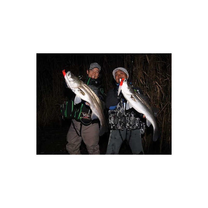 Puzzle Design Reed Grand Soldier 190F #006 Female Ayu GS190F-006