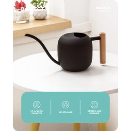 Baffect Cute Indoor/Outdoor Watering Can, 1.2L/41OZ Stainless Steel with Long Spout for House Plants, Bonsai, Flowers & Decor