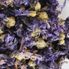 Herbal Tea Mallow Blue Malva, Mallow, Blue Mallow, Blue Mallow