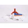 Millennium Squeegee | Floor Squeegee & Mop Combo with FastenerHolder;