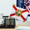 TSMD Florida FL State Flag on Wood Stick Small Mini
