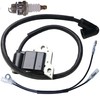 Ignition Coil Module with Spark Plug for Husqvarna 150BT 350BT