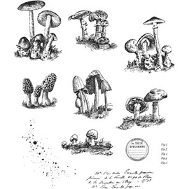 Tim Holtz - Stampers Anon Cling RBBR Stamp Set, Tiny Toadstools, One Size