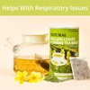 60 Mullein Leaf Tea Bags for Lungs, VitalForest 100% Pure
