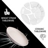 LIYH 20pcs Wheat Straw Plates 9Inch, Beige Reusable Plastic Plates,