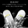 T10, Car LED, Position, Car Position, 12 V, License Lamp,