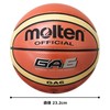 Molten GA6 No. 6 Ball BGA6