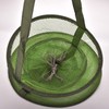 Foldable Fish Cage/Fishing Net/Fish Basket/Fish Bag Shrimp Basket for Bait