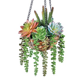 Collections Etc Hanging Colorful Faux Succulents in Rattan Basket