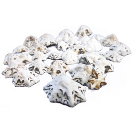 Set of 50 Small "Star" Limpet Shells - Little Black and White Seashells 3/4-1" (19-25mm) Beach Crafts Coastal Cottage Nautical Home Decor