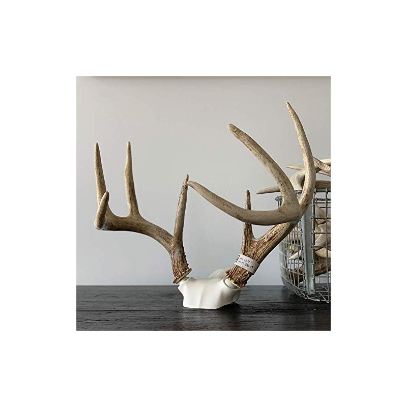 Bone Collector The Change Up Antler Mounting Kit with Skull