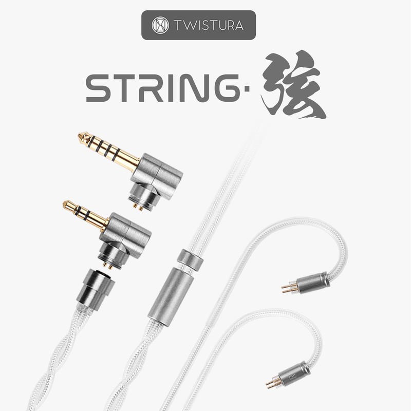 TWISTURA String String Monocrystalline Copper Silver Plated Hybrid Upgrade Cable,