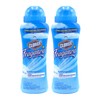 Clorox Fraganzia Laundry Scent Booster Crystals in Morning Sky Scent