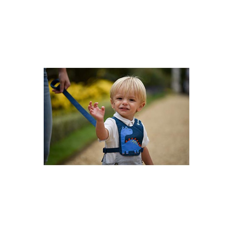 LittleLife Child & Toddler Safety Walking Harness & Reins