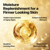 Nature Republic Ginseng Gold Silk Watery Cream 2.11 Oz(60g)-6 Years