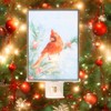 Raz Imports Cardinal Winter Scene Nite Lite – Plug-in Night