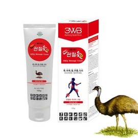Well-being Health Joint Massage Cream (120g/Tube) x 1 / 관절애 바르는 마사지크림 (120g/튜브형)X1개