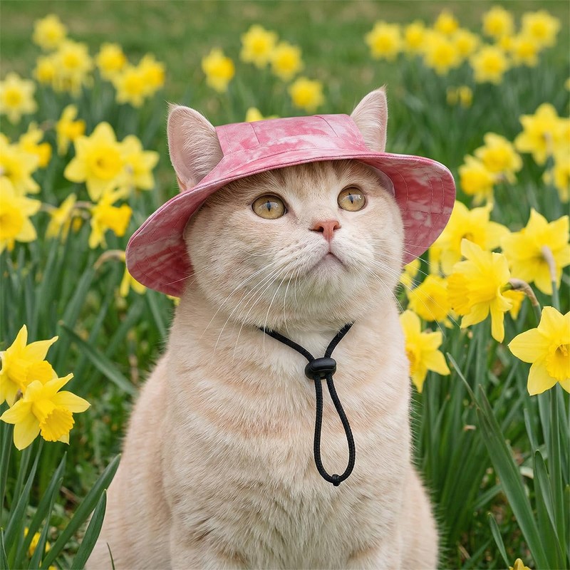 FORGEMATE Adjustable Sun Protection Hat for Indoor Cats, Waterproof Fisherman