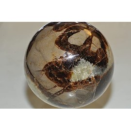 ✦ Bella-gems ✦ 50mm 178g "Individual Selected/Unique"~Madagascar SEPTARIAN Nodule (Dragon Stone) Metaphysical Healing Sphere Mineral Specimen - B1346