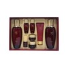 효비담 발효 2종 기획세트 (33144079) Hyobidam Fermented 2-Set Gift Set (33144079)