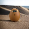 Buffalo BeepEgg – Egg Timer for Boiling Eggs – Musical