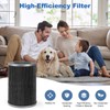 DMLBST Air Pro PECO-HEPA Replacement Filter Compatible with Molekule Air