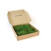 sphagnum-shop.com Fern Moss Preserved for Moss Pictures Decorative Moss Premium